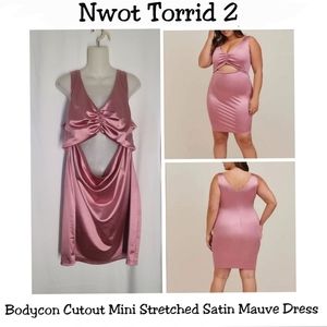 Torrid Bodycon dress 2
